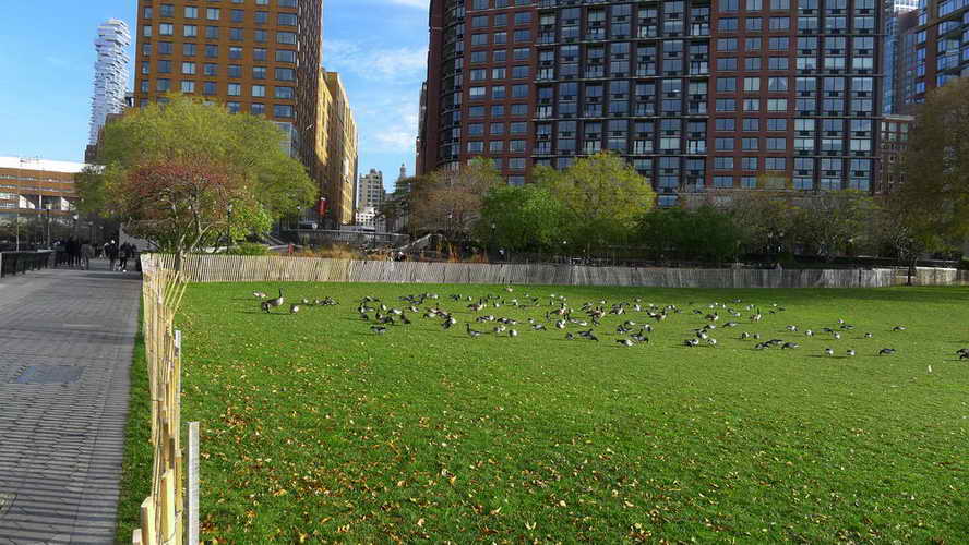 NYC_2017-11-25 14-12-56_P1140365